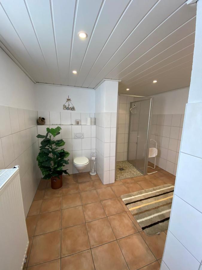Ferienwohnung-Gasthaus Zum Ross Erlenbach am Main Экстерьер фото